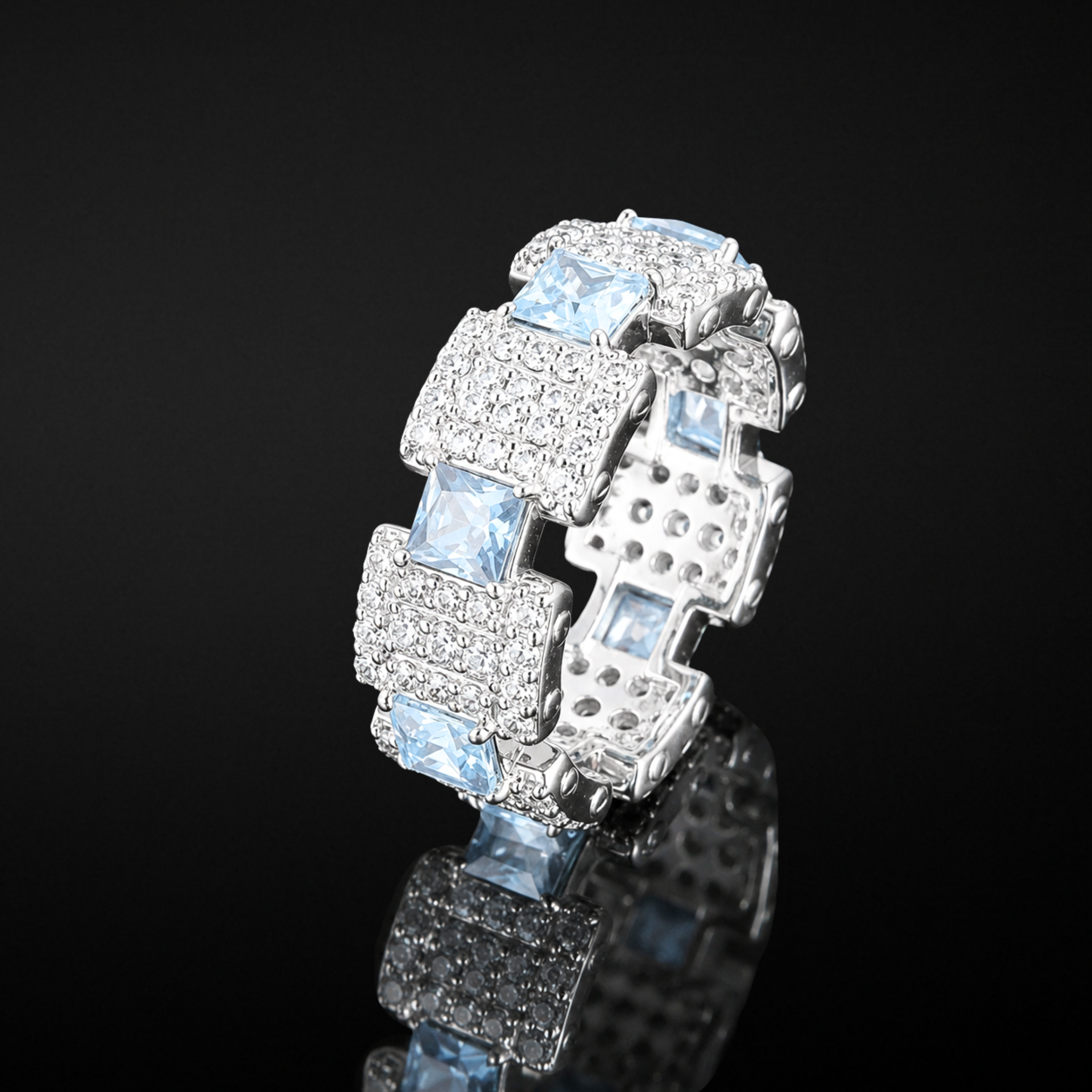 Océan Arctique Ring